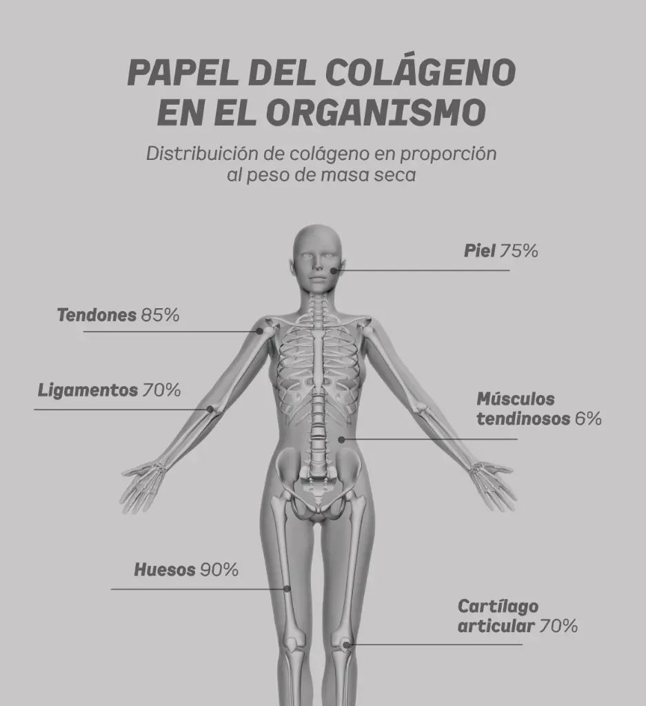 Copy of Colageno-10.webp
