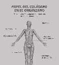 Copy of Colageno-10.webp